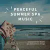 Erhu Illuvatar - Peaceful Summer Spa Music - Instrumental Beach Spa Relaxation Songs